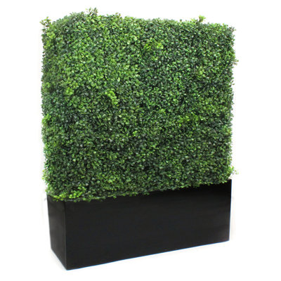 Faux Boxwood Hedge in Wood Planter