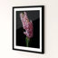 Cadre photo simple en bois-1413890331-1413890334