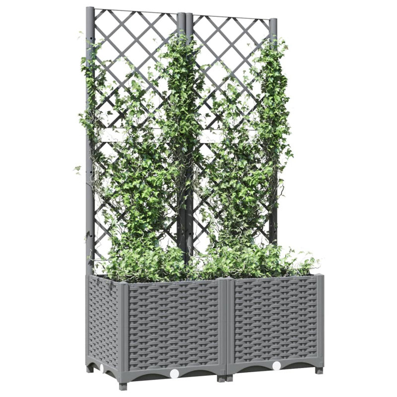 Channay Raised Garden Bed with Trellis