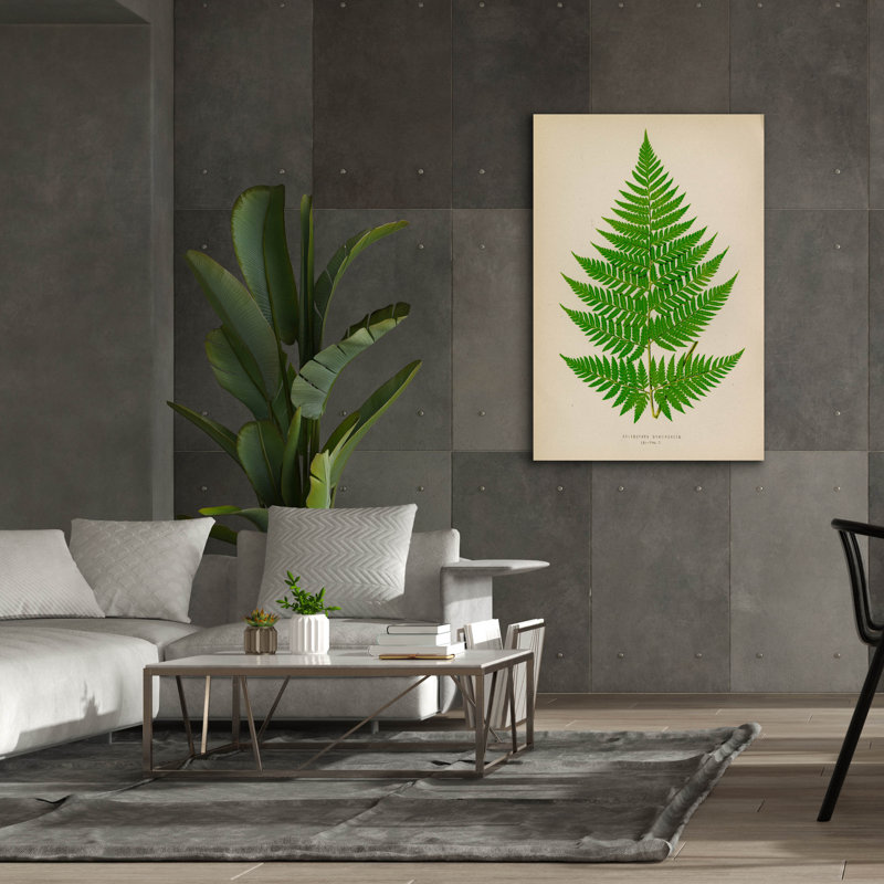 Toile épique Graffiti «Polybotrya Osmundacées» par Art Licensing Studio, 40 po x 60 po