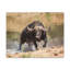 No Frame Print on Canvas-100038964