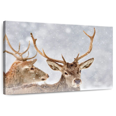Cerf rouge d'hiver Brampt