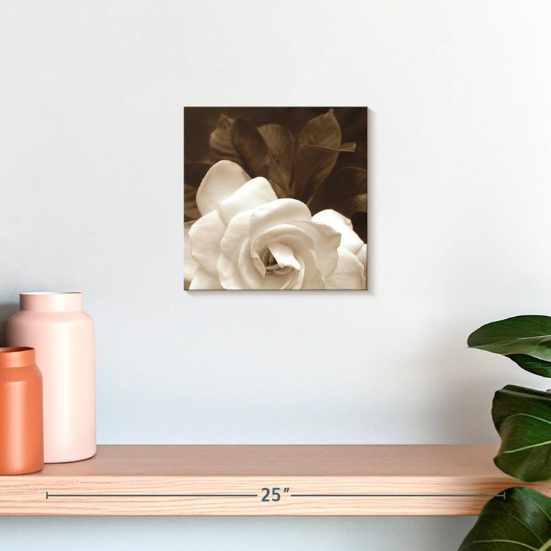 Jardin Harnek Gardenia, H 10 po x l 10 po
