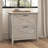 Kaionna 30'' Wide 2 -Drawer File Cabinet-2133096691