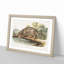 Leopard-Cat by J.W. Audubon - Picture Frame Painting Print-55582530-55582531
