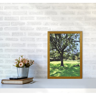 Tree - Print