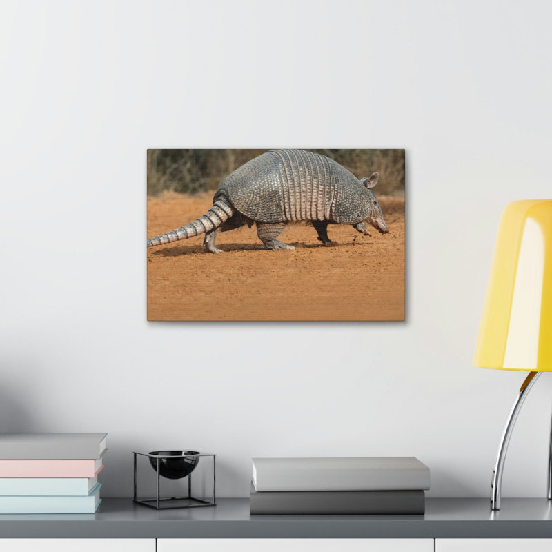 Art mural «Armadillo buisson dans le désert», H 12 po x l 18 po