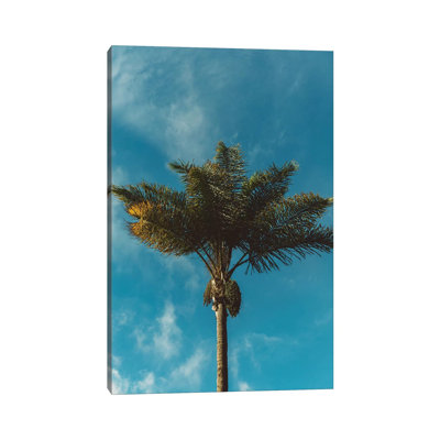 Palm Tree by Bethany Young - Print on Canvas
