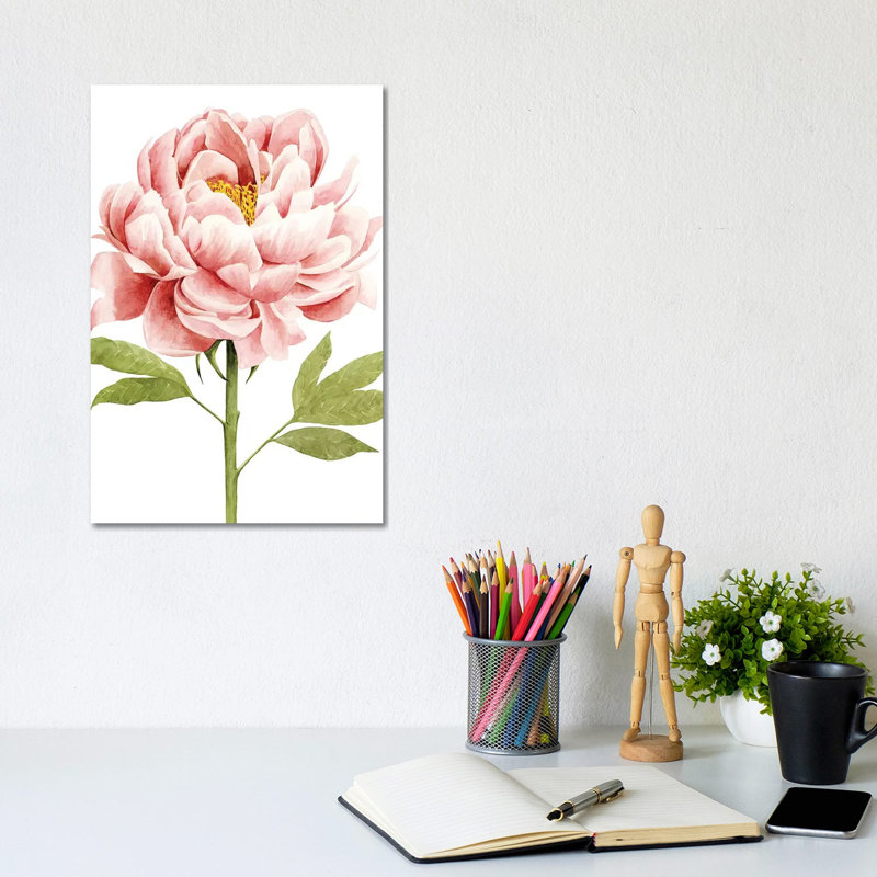 Watercolour Peony II - Wrapped Canvas Print, 20.32 cm H x 30.48 cm W