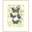 Mariposas 5 Print-1245922757