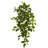 Stephanotis & Ivy Hanging Artificial Plant