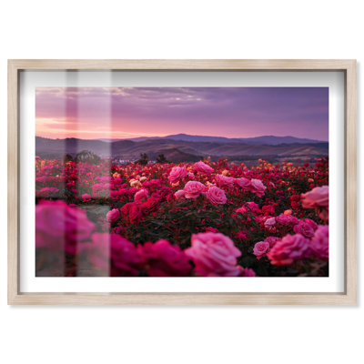 Sea of Roses I Shadowbox Print Sunset Wall Decor by Notoriart, Blonde Frame, 25 x 17