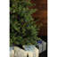 Foxtail 9' Green Pine Artificial Christmas Tree with 1250 Multi-Colored Lighs