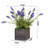 Lavender Arrangement in Planter