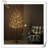 Ezariyah Net Lights-1196387151
