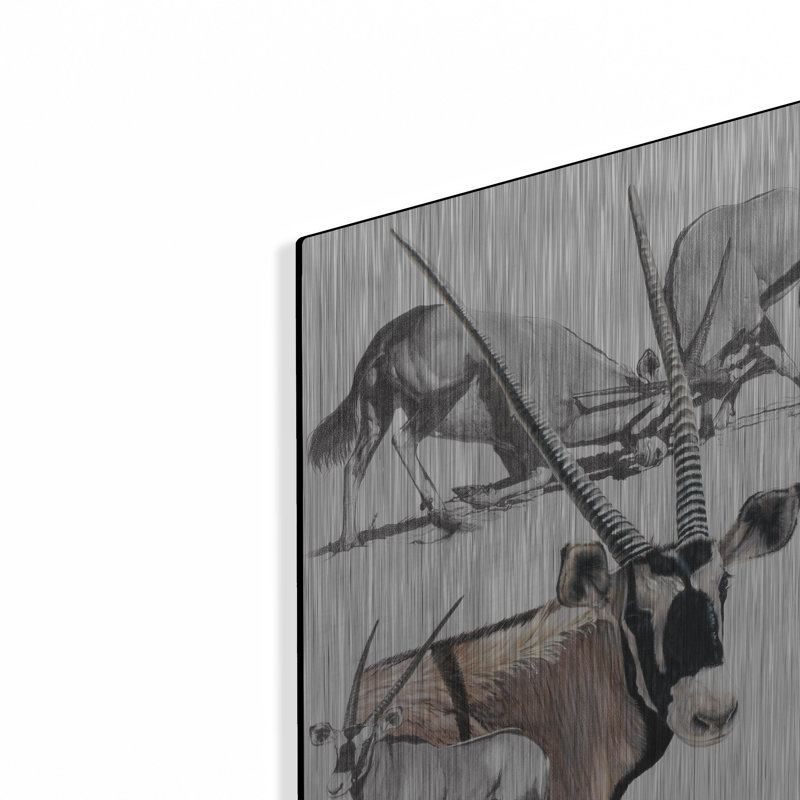 "Gemsbok" par Barbara Keith, H 16 po x l 12 po