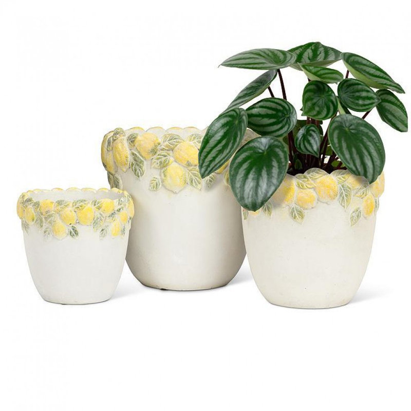 Grand pot à fleurs bord de citron, H 5,5 po x l 6 po x P 6 po