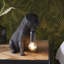Cason Resin Novelty Lamp-876727556