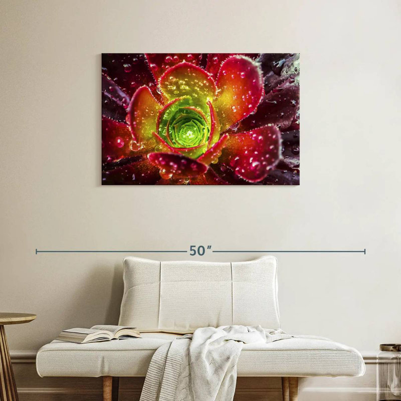 Harnek Dewy Floral Succulent
