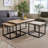 Aneisha Solid Wood and Metal Nest of 3 Coffee Side End Tables