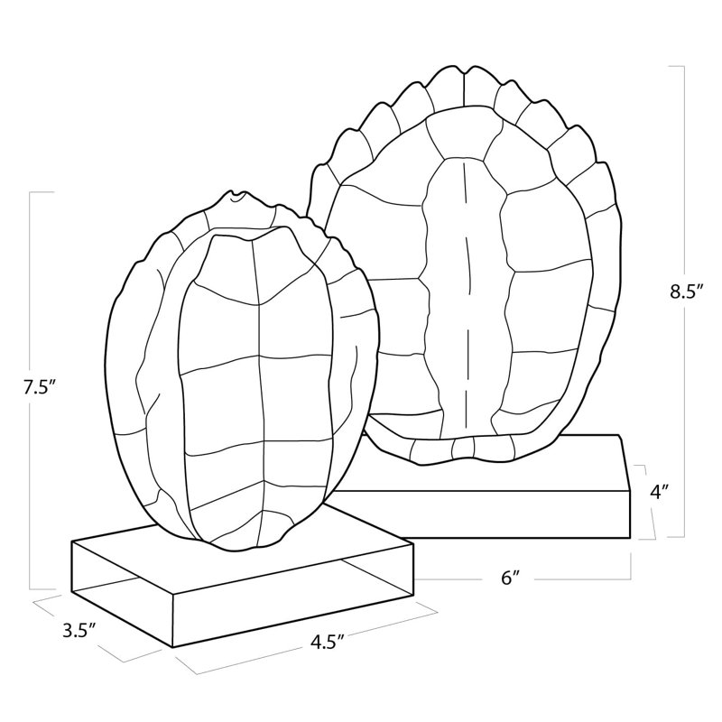 Turtle Shells On Crystal (Set of 2)