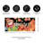 Sassafras Fall Holiday Set of 5 20"x10" Door Mats with Rubber Display Frame, Collection #4