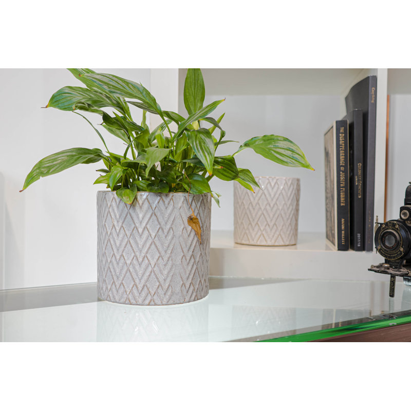 Ceramic Planter