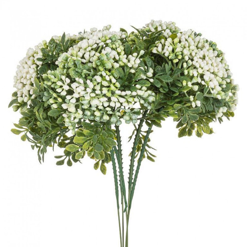 Bouquet de bourgeons floraux blancs