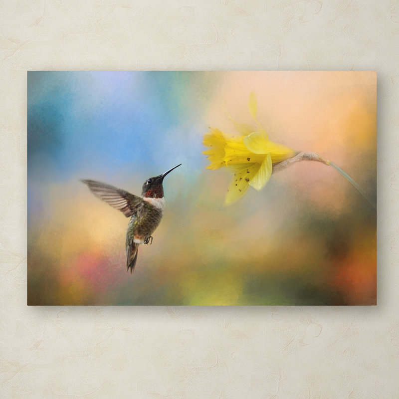 «Garden visiteur», impression sur toile tendue Vidur, H 22 po x l 32 po