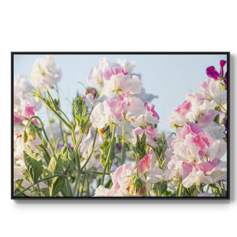 " Spring All Around ", Black, 37" H x 25" W x 2" D