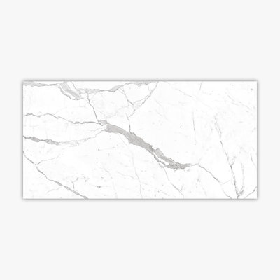 Calacatta 24" x 48" Porcelain Marble Look Singular Wall & Floor Tile