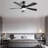 52 Inch Modern Ceiling Fan With 3 Color Dimmable 5 ABS Blades Remote Control Reversible DC Motor With Led Light-222484074