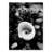 Glowing Beach Shell Photographic Print on Wrapped Canvas-19533201