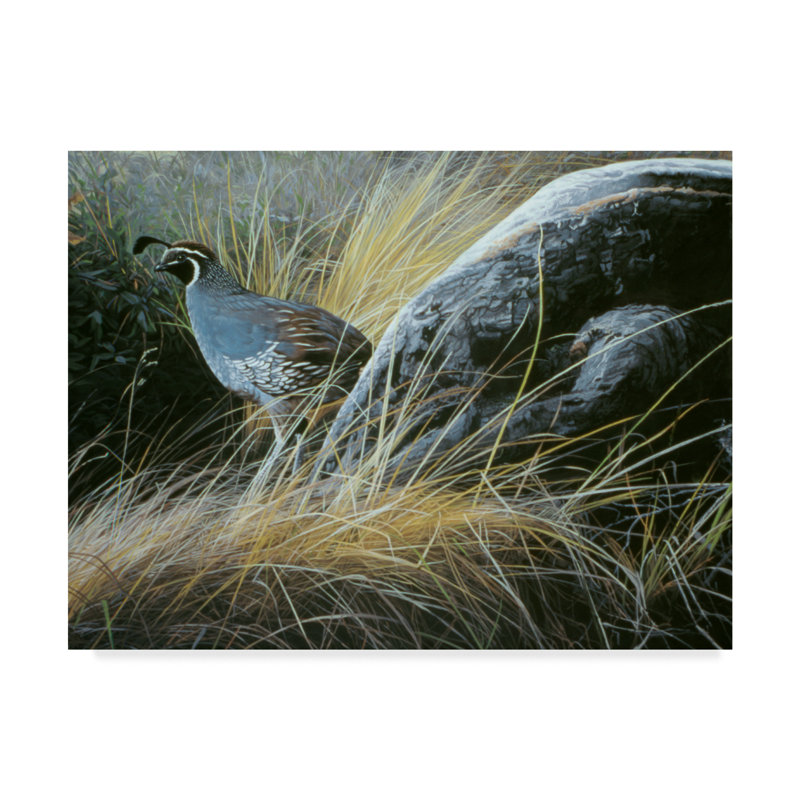 California Quail Landscape Framed Canvas Art 14x19