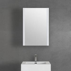 Korecky Surface Mount Framed Medicine Cabinet