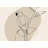 Lovebird - Beige Framed Canvas for Elegant Home Decor