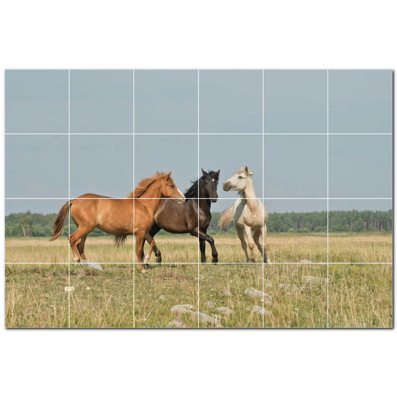 Photo de cheval 8 x 8