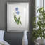 Peinture botanique bleue vive II-789340627-789340630