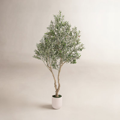 Ashwell Artificial Olive Tree with White Pot