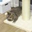 210.82cm H Cat Tree