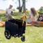 Poussette pliable pour jogging pour animaux de compagnie Porte-vélos Remorque à bicyclette pour chien Chat orange et noir - Idéal pour les petits animaux de compagnie
