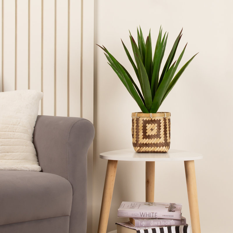 55cm Faux Spikey Plant Bamboo Basket