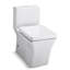 Reve Dual-Flush Elongated One-Piece Toilet (Seat Included)-2109374807