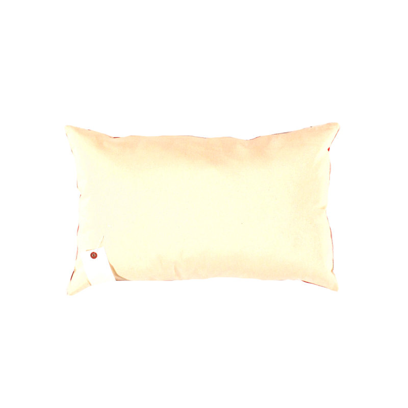 Chevron Velvet Throw Pillow