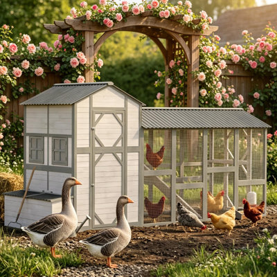 Outdoor Chicken House,Wooden Hen House,Chicken Coop,Pet House