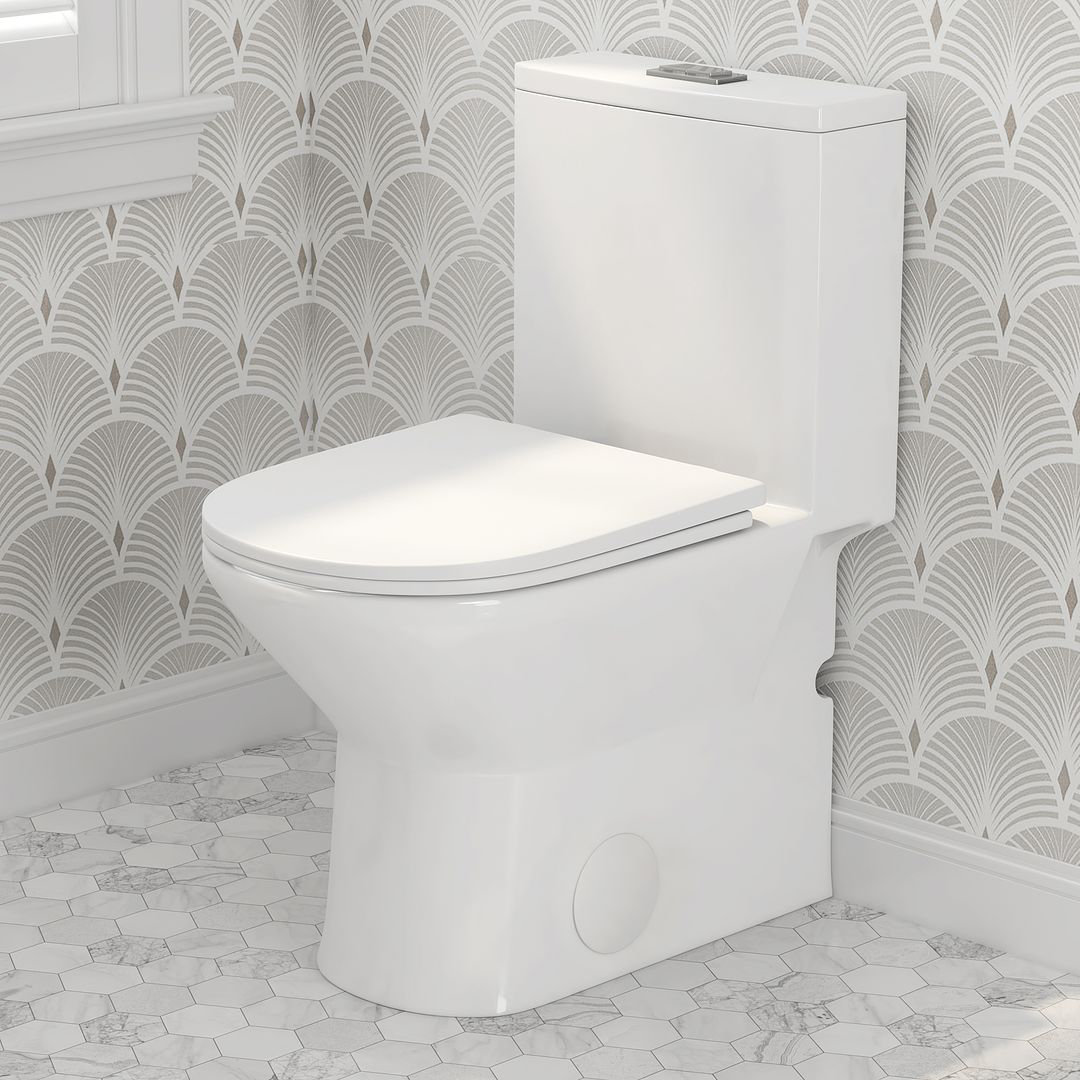 Naples 25" Depth Dual Flush Compact Elongated Chair Height One Piece Toilet, 12-inch Rough-in (Seat Included) Eridanus