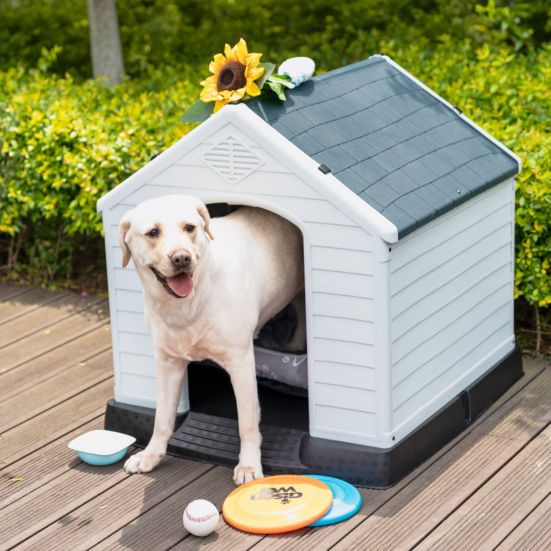 Niche pour chien isolée en plastique Deisi, H 30 po x l 30 po x P 33 po, gris