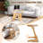 Abdulbari Glass Top End Table