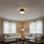 2-Light 14-in Dark Bronze Flush Mount-727408546-727408549-727408550