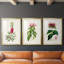 «Pretty Pink Botanicals VII», reproduction sur mesure encadrée de qualité supérieure - 3 pièces-1450346877-1450346817